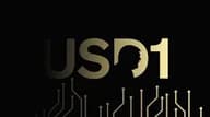 特朗普家族项目稳定币 USD1 合作版图初现：部署至 3 家公链，已集成超 10 个协议