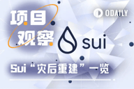 2.23亿美元安全事件之后，谁在支撑Sui的信任回归？