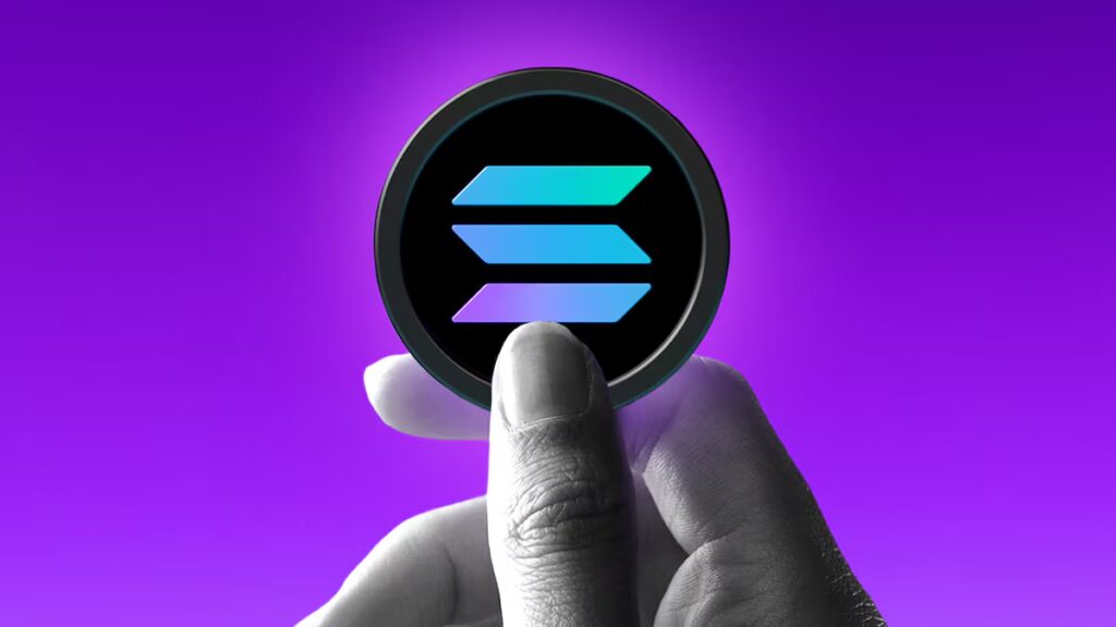 数据揭秘：SOL都在谁手里？