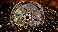 Cardano 的 7100 万美元治理改革实验：迈向自治之路