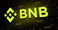 BNB 储备上市公司 WINT 退市，“囤币策略”难医百病