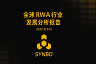 全球 RWA 行业发展分析报告（2025 年 8 月）