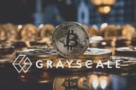 灰度：八月 BTC 与 ETH 走势分化，DAT 过剩了吗？