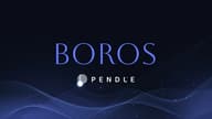 DeFi 小白入门宝典（三）：深度剖析 Pendle 新产品 Boros 的 100% ROI 的原理以及进阶套利策略