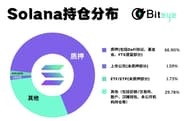 Solana 持仓分析：谁是真正的筹码掌控者？