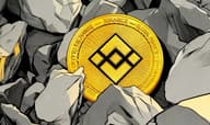 BNB 冲破 1000 美元后，长期持有者为何选择不离场？