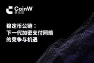 稳定币公链：下一代加密支付网络的竞争与机遇