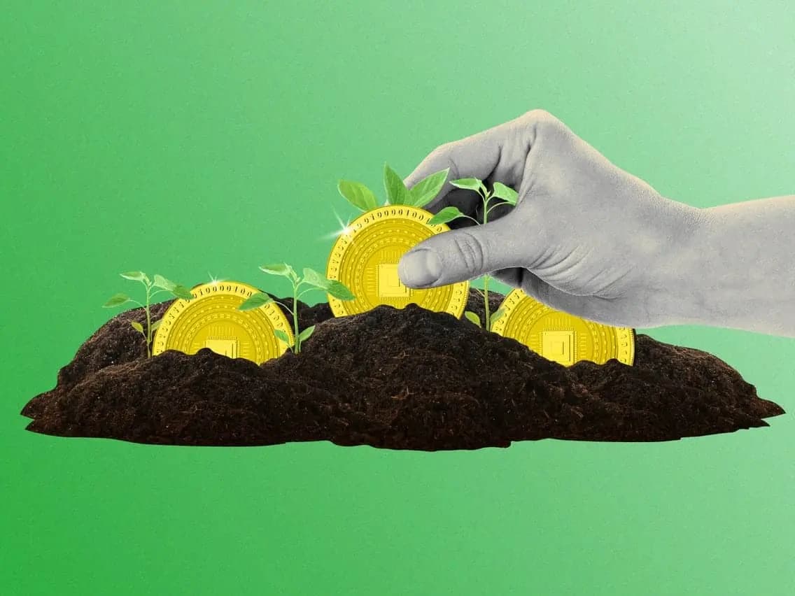 DeFi 的自然选择：适者生存