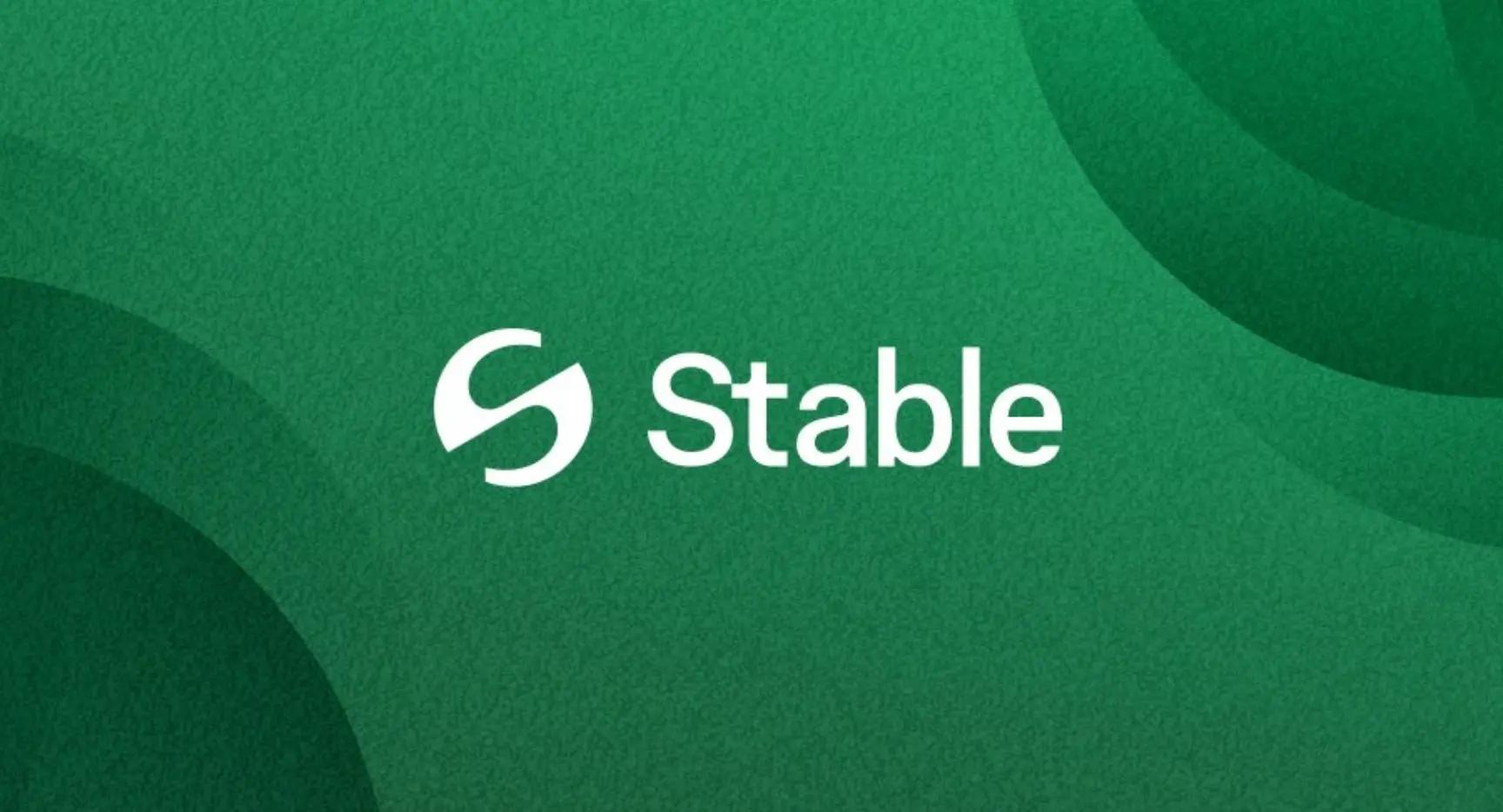 80% 是炒作？六大红线看 Stable 真实意图