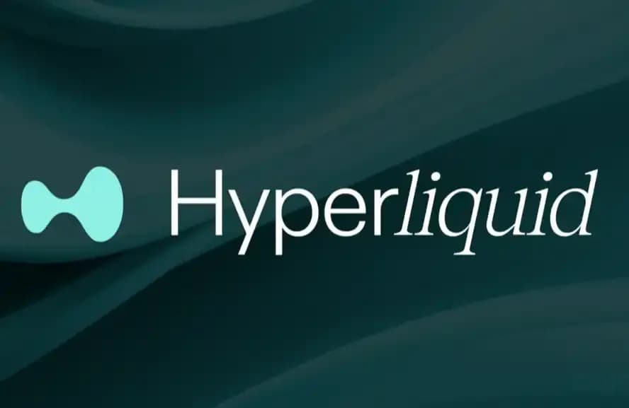 永续 DEX 里的头号玩家，如何看待 HYPE 未来走势？