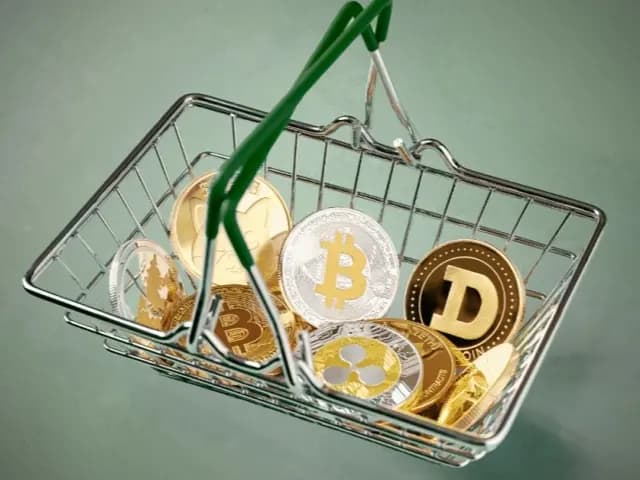 没有赢家的游戏：山寨币市场如何破局