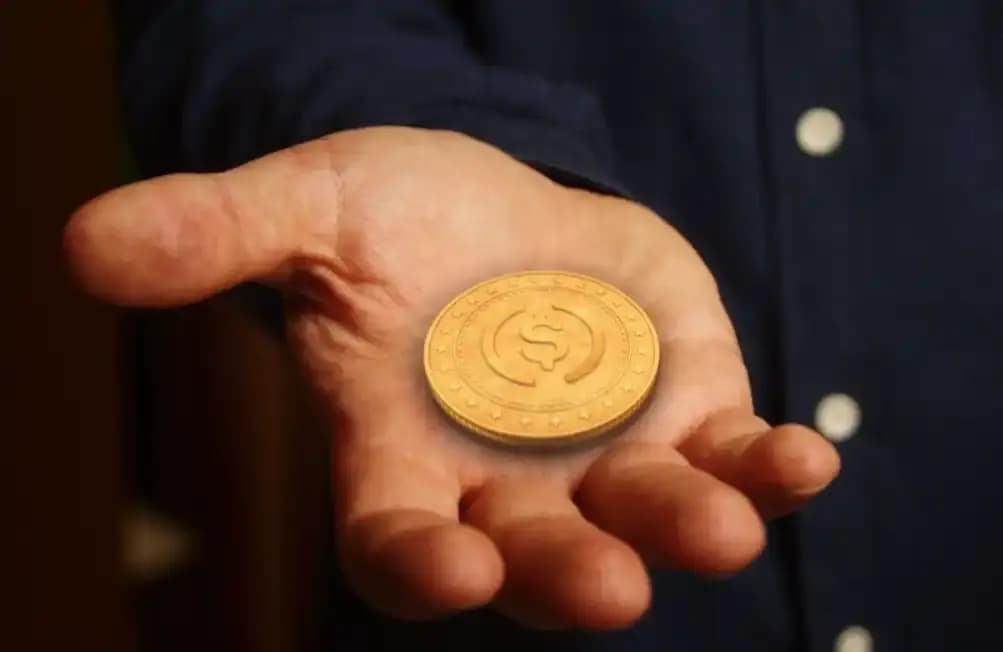 稳定币繁荣背后：交易量突破35万亿，实际支付仅占百分之一？